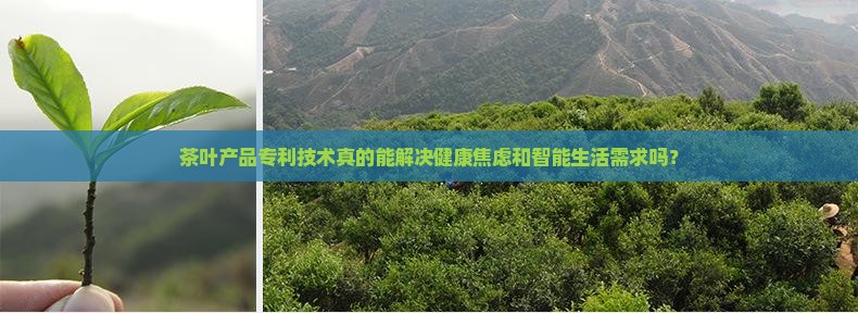 茶叶产品专利技术