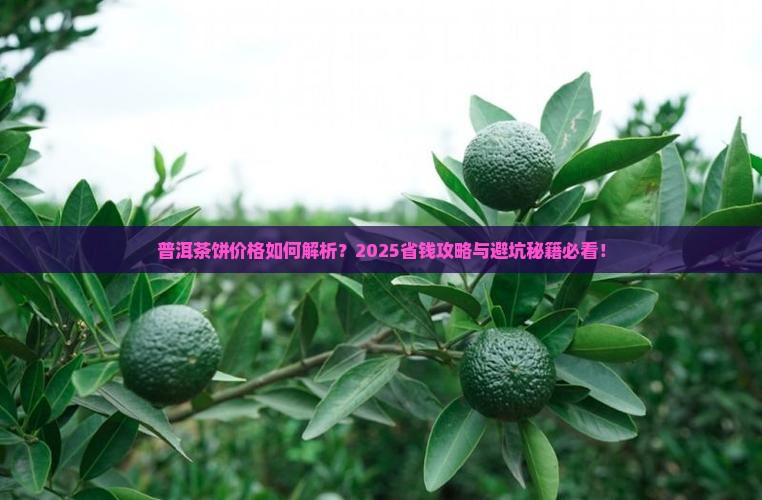 普洱茶饼如何区分价格的