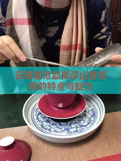 云南临沧勐库深山普洱茶
