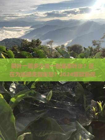 茶叶一般多少克一包装茶叶水