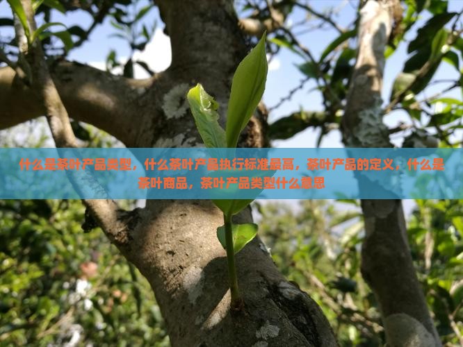 什么是茶叶产品