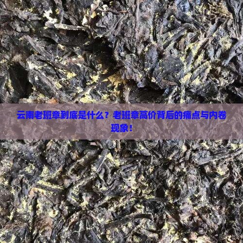 云南老班章百度百科