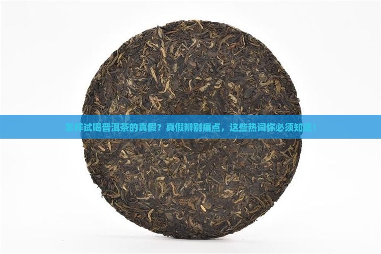 怎样试喝普洱茶的真假
