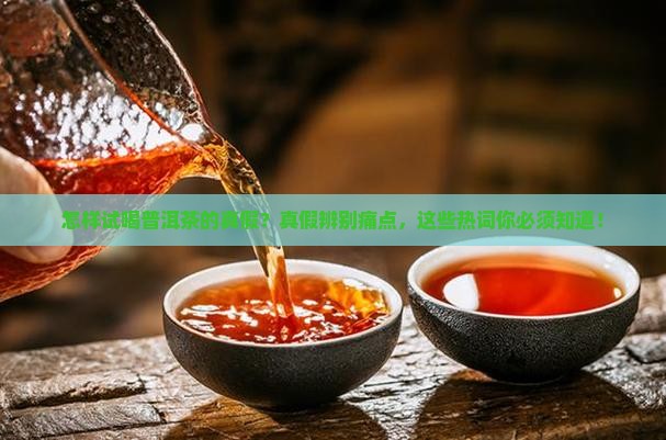 怎样试喝普洱茶的真假