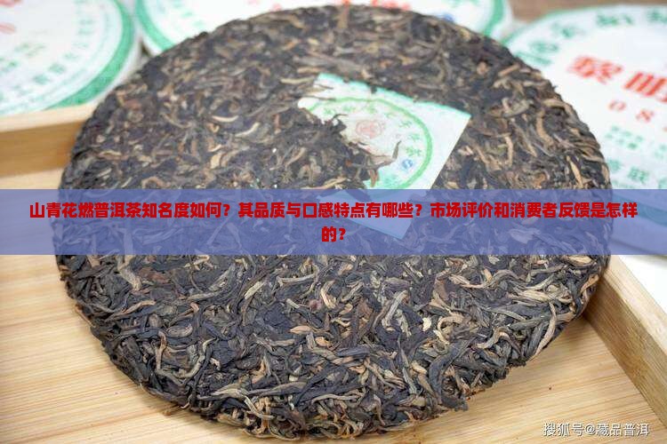 山青花燃普洱茶知名度如何？其品质与口感特点有哪些？市场评价和消费者反馈是怎样的？