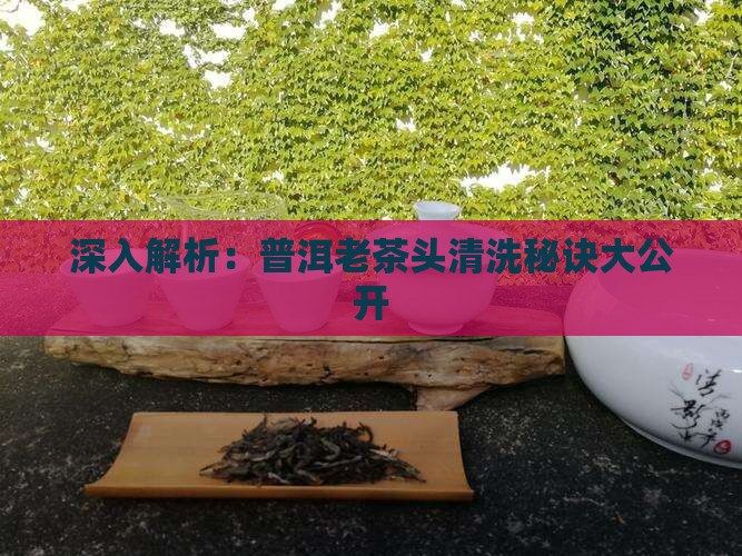 深入解析：普洱老茶头清洗秘诀大公开