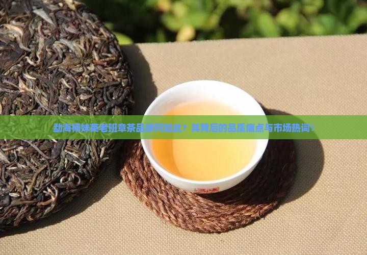 勐海杨妹英老班章茶品缘何如此？其背后的品质痛点与市场热词！