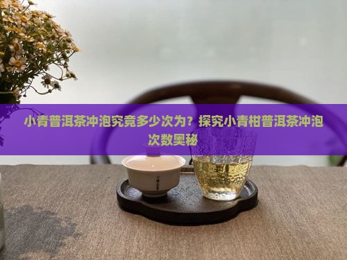 小青普洱茶冲泡究竟多少次为？探究小青柑普洱茶冲泡次数奥秘