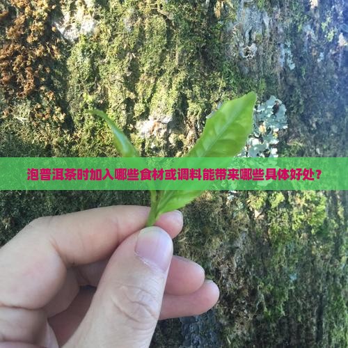 泡普洱茶时加入哪些食材或调料能带来哪些具体好处？