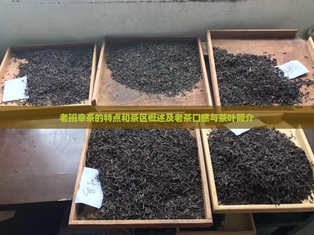 老班章茶的特点和茶区概述及老茶口感与茶叶简介