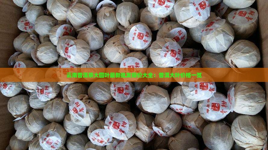 云南普洱茶大圆叶最新批发报价大全：普洱大叶价格一览