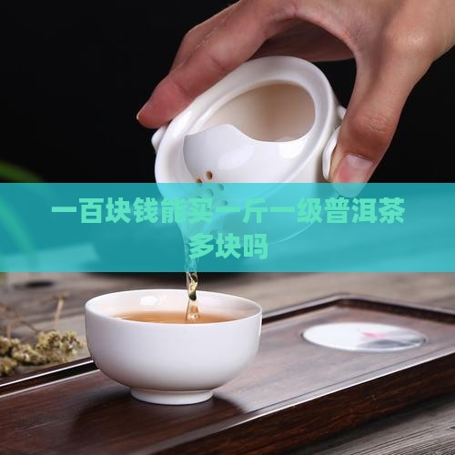 一百块钱能买一斤一级普洱茶多块吗