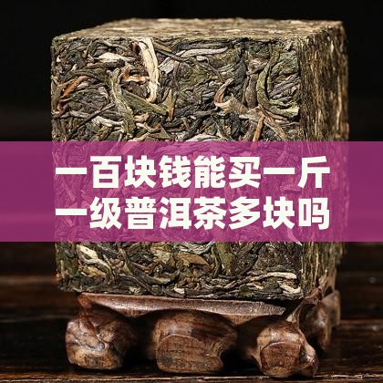 一百块钱能买一斤一级普洱茶多块吗