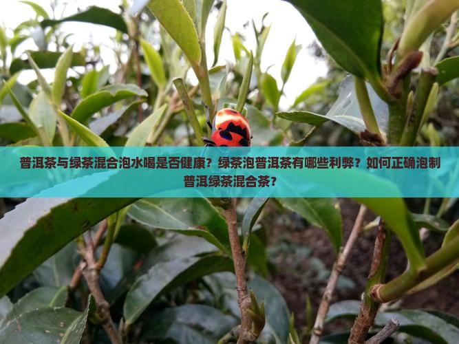 普洱茶与绿茶混合泡水喝是否健康？绿茶泡普洱茶有哪些利弊？如何正确泡制普洱绿茶混合茶？