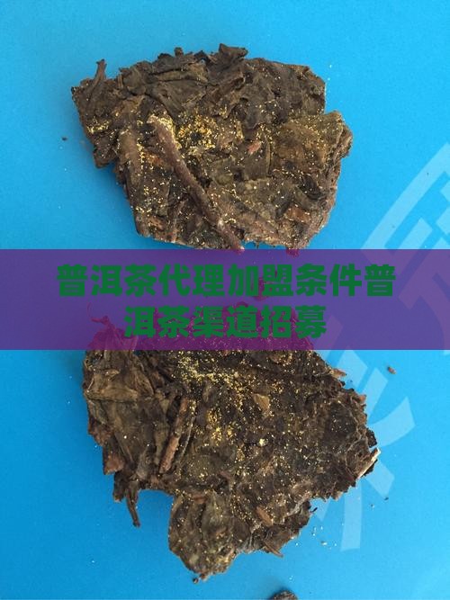 普洱茶代理加盟条件普洱茶渠道招募