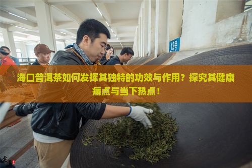 海口普洱茶如何发挥其独特的功效与作用？探究其健康痛点与当下热点！