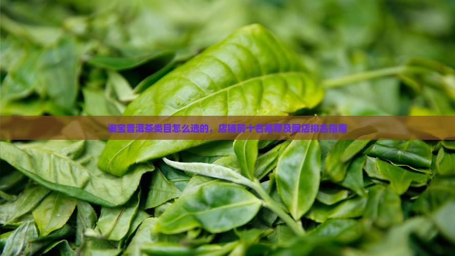 淘宝普洱茶类目怎么选的，店铺前十名推荐及网店排名指南
