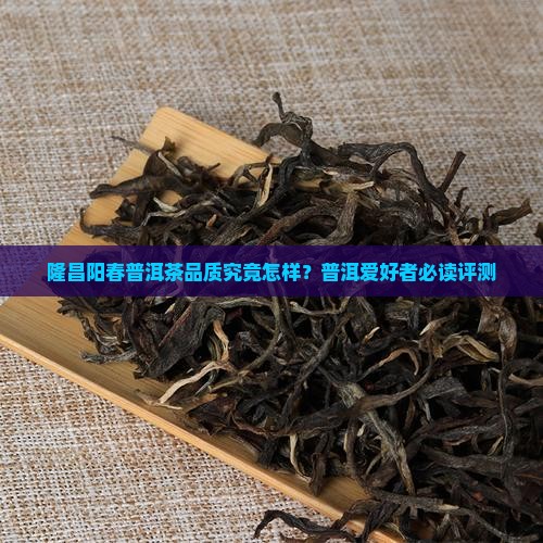 隆昌阳春普洱茶品质究竟怎样？普洱爱好者必读评测
