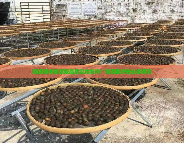 隆昌阳春普洱茶品质究竟怎样？普洱爱好者必读评测