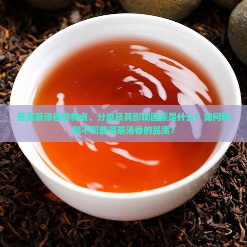 普洱茶汤香的特点、分类及其影响因素是什么？如何辨别不同普洱茶汤香的品质？