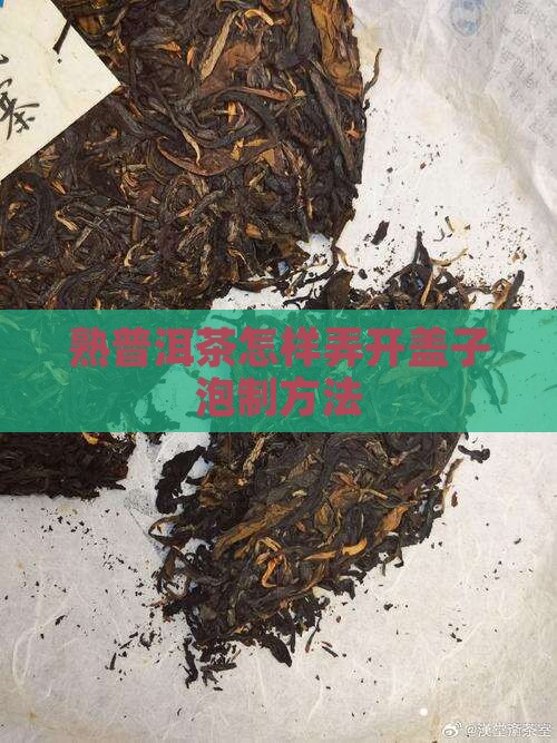 熟普洱茶怎样弄开盖子泡制方法