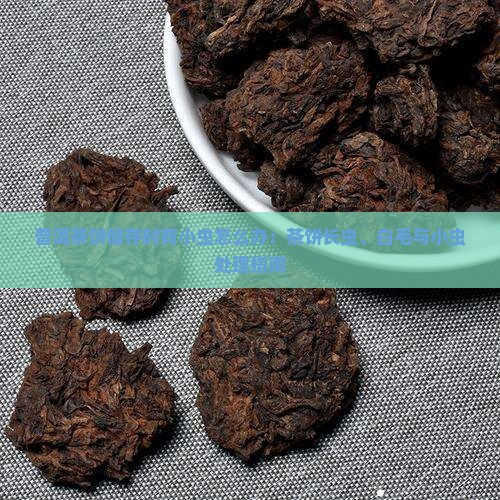 普洱茶饼储存时有小虫怎么办：茶饼长虫、白毛与小虫处理指南