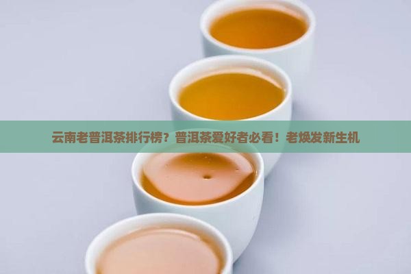 云南老普洱茶排行榜？普洱茶爱好者必看！老焕发新生机