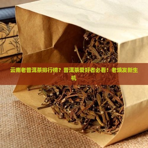 云南老普洱茶排行榜？普洱茶爱好者必看！老焕发新生机