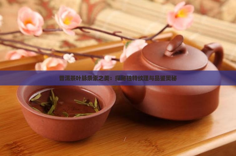 普洱茶叶脉条索之美：探秘独特纹理与品鉴奥秘