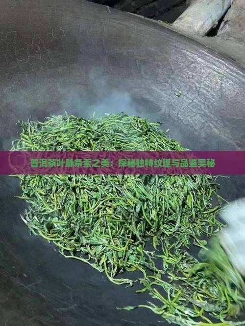 普洱茶叶脉条索之美：探秘独特纹理与品鉴奥秘