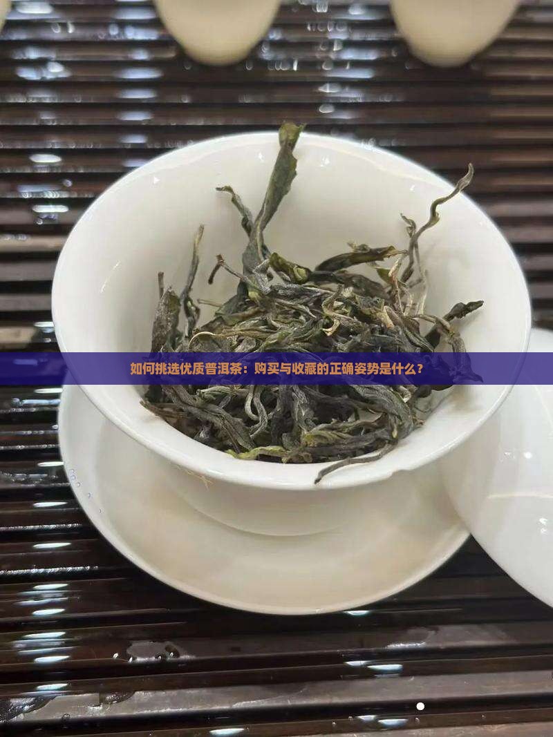 如何挑选优质普洱茶：购买与收藏的正确姿势是什么？