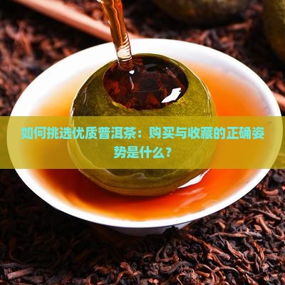 如何挑选优质普洱茶：购买与收藏的正确姿势是什么？