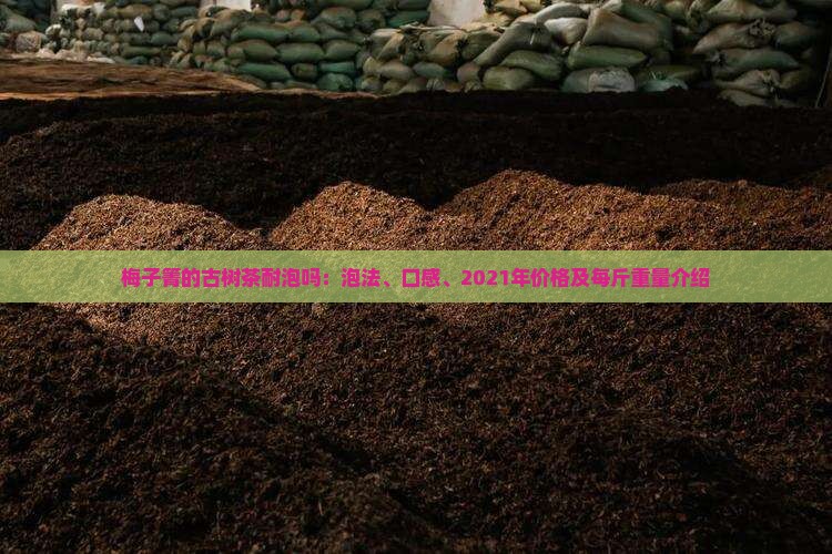 梅子箐的古树茶耐泡吗：泡法、口感、2021年价格及每斤重量介绍