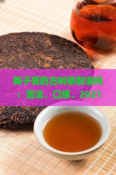 梅子箐的古树茶耐泡吗：泡法、口感、2021年价格及每斤重量介绍
