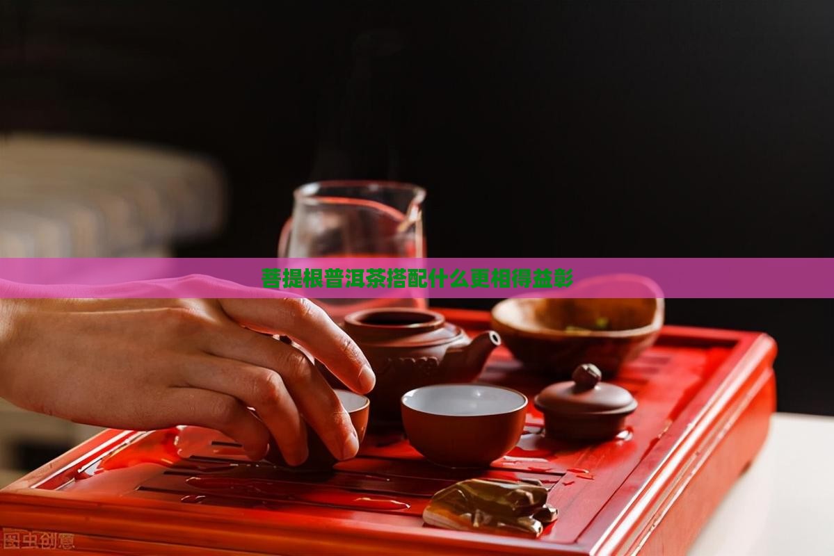 菩提根普洱茶搭配什么更相得益彰