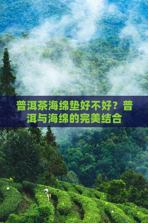 普洱茶海绵垫好不好？普洱与海绵的完美结合