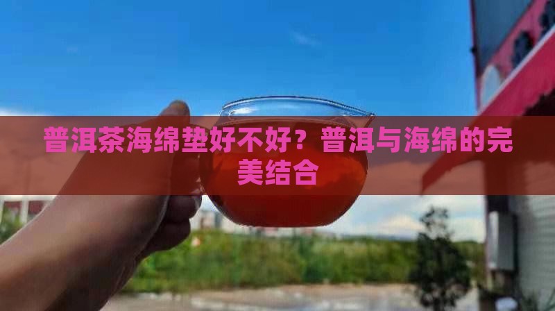 普洱茶海绵垫好不好？普洱与海绵的完美结合