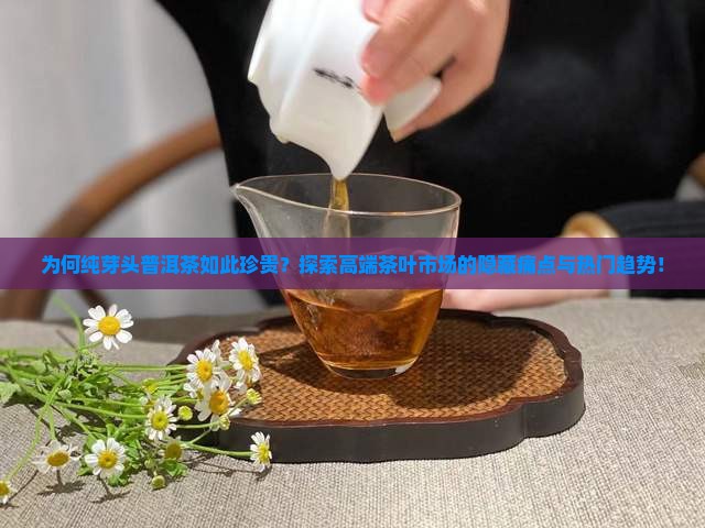 为何纯芽头普洱茶如此珍贵？探索高端茶叶市场的隐藏痛点与热门趋势！