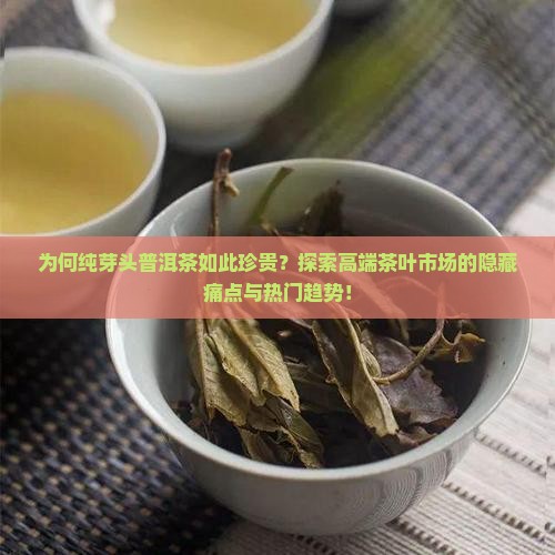 为何纯芽头普洱茶如此珍贵？探索高端茶叶市场的隐藏痛点与热门趋势！