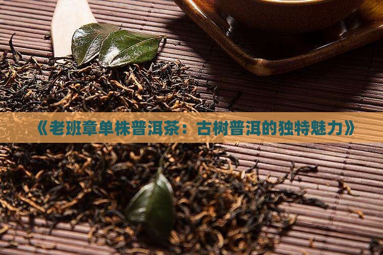 《老班章单株普洱茶：古树普洱的独特魅力》