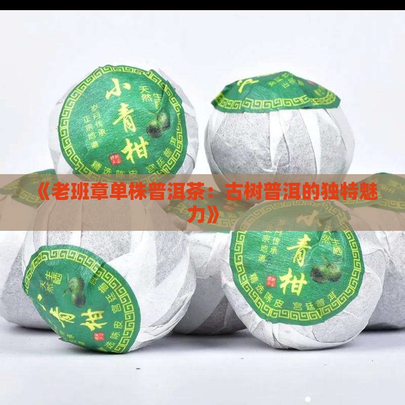 《老班章单株普洱茶：古树普洱的独特魅力》