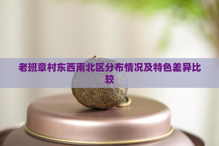 老班章村东西南北区分布情况及特色差异比较