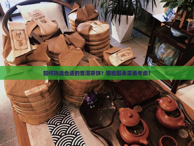 如何挑选合适的普洱茶饼？哪些因素需要考虑？
