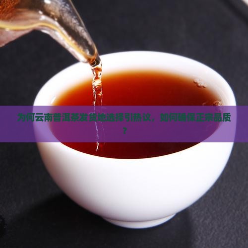 为何云南普洱茶发货地选择引热议，如何确保正宗品质？
