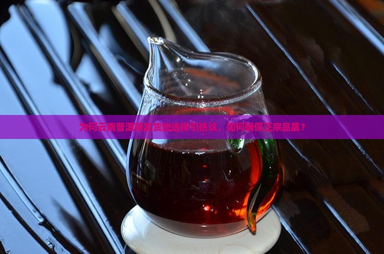 为何云南普洱茶发货地选择引热议，如何确保正宗品质？