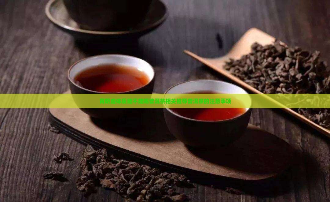 胃阴虚体质能不能喝普洱茶相关推荐普洱茶的注意事项