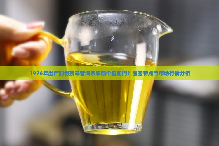 1976年出产的老班章普洱茶收藏价值如何？品鉴特点与市场行情分析