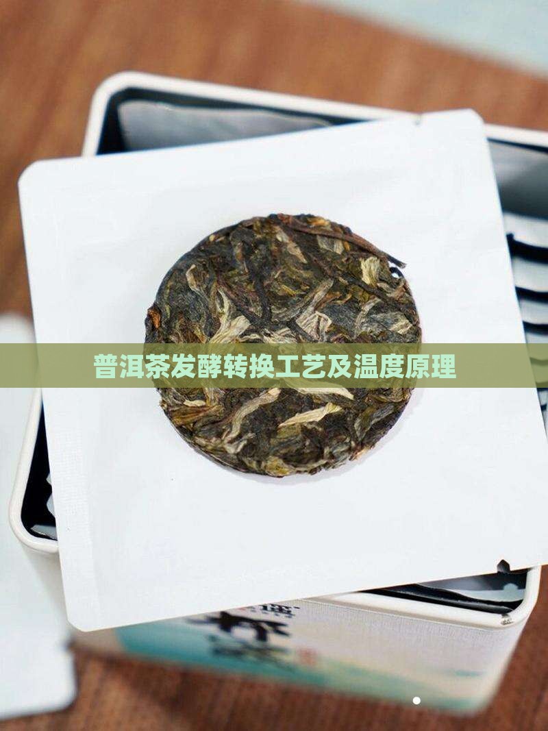 普洱茶发酵转换工艺及温度原理