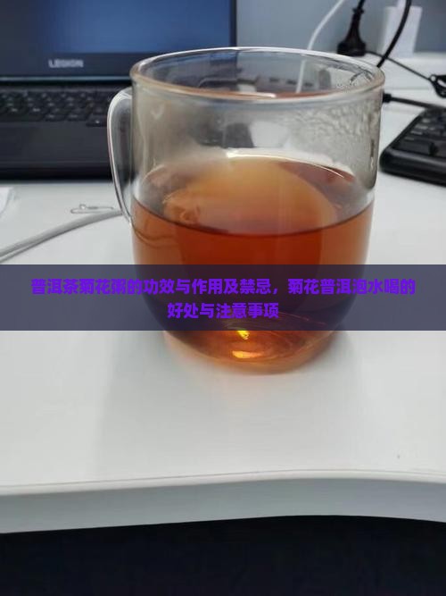 普洱茶菊花粥的功效与作用及禁忌,菊花普洱泡水喝的好处与注意事项 普洱茶菊花粥的功效与作用及禁忌,菊花普洱泡水喝的好处与注意事项