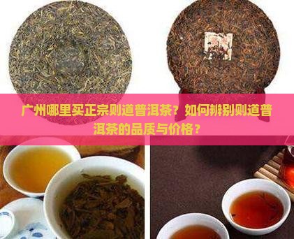 广州哪里买正宗则道普洱茶？如何辨别则道普洱茶的品质与价格？